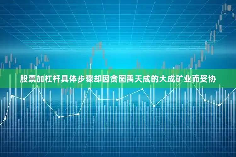 股票加杠杆具体步骤却因贪图禹天成的大成矿业而妥协